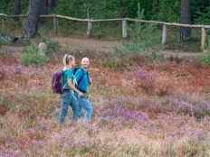 Wandern in der Senne © Teutoburger Wald Tourismus / Patrick Gawandtka