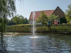 Quellteich der Altenau bei Lichtenau-Blankenrode © Reinhard Rohlf